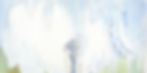 Wide Skyscraper Ad copy_edited.jpg