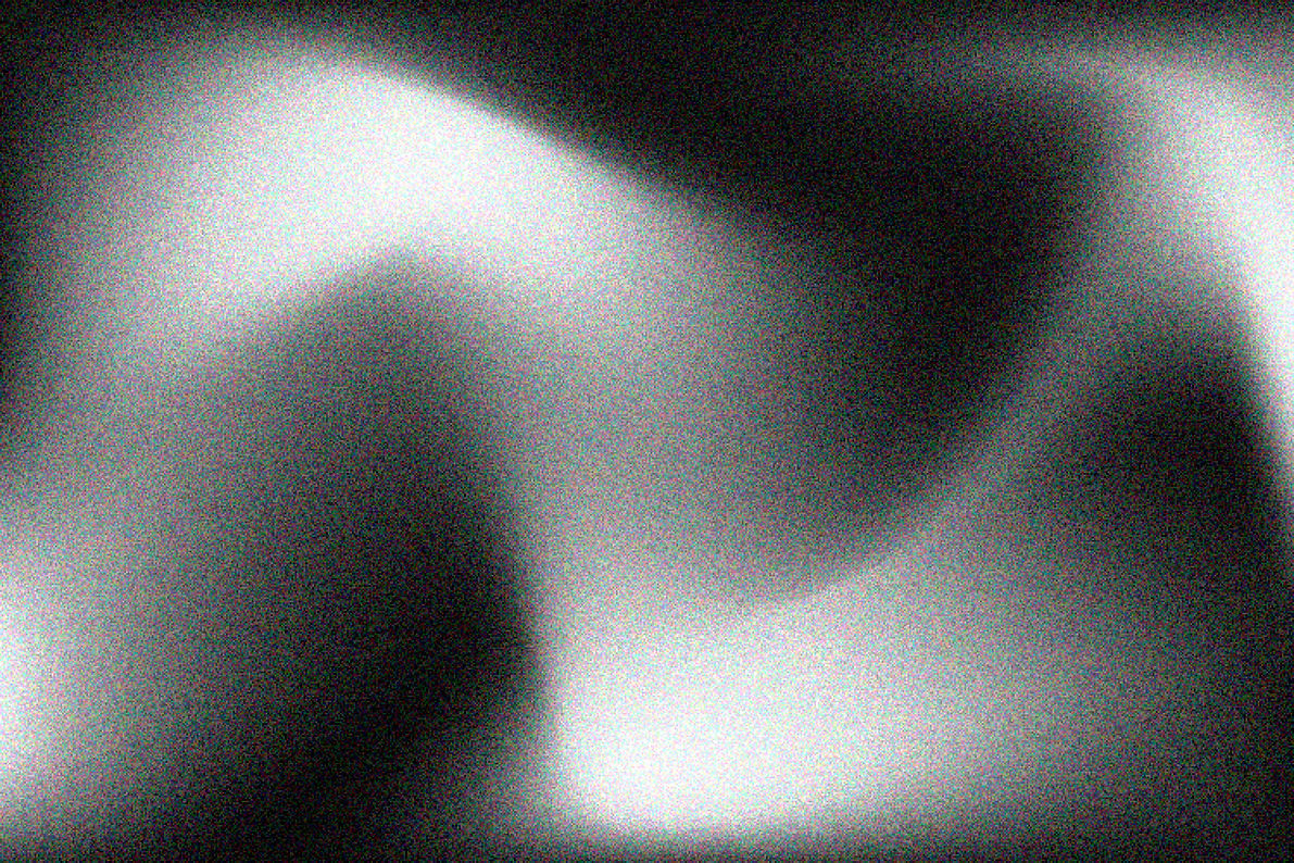 6536814.jpg