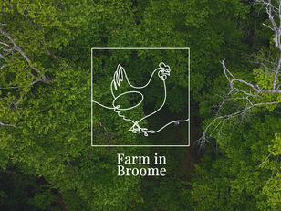 Welcome to 🌱 Farm in Broome 🌱