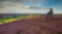 The-Seated-Man-Castleton-Rigg-Westerdale-1024-750x410.jpg