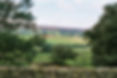 westerdale pic.jpg