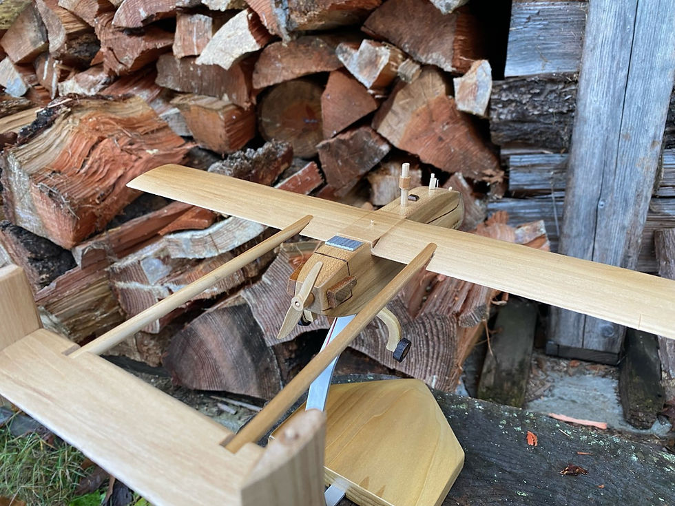 Thumbnail: Pioneer UAV RQ-2B
