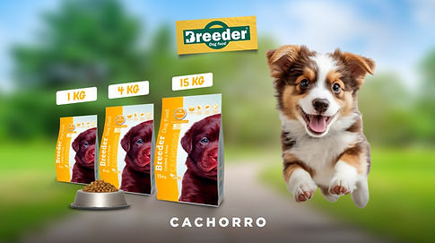 Breeder cachorros