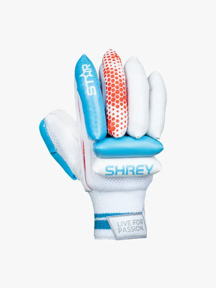 Shrey Star Cricket Set (Kashmir Willow) (With Helmet)