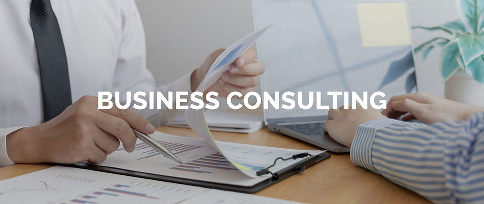 buisnes_consulting_banner_2.jpg