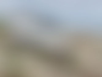 Conquering the Outback: TuffAnt Simpson Wheels and the Land Rover Discovery 5