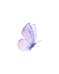 Book - Butterfly image (1).png