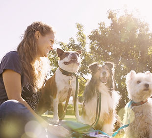 Dog Walker at the Park_edited.jpg