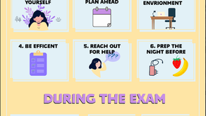 SMS First Year's Guide #6