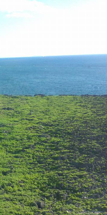 Home Yuka Suzuki Home Yuka Suzuki