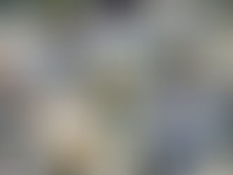 PUNE’S FIRST INCLUSIVE MARATHON SEES 80 NEURODIVERSE CHILDREN RUN FOR THE FIRST TIME