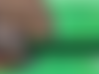 14ª Feira do Livro de São Joaquim da Barra atraiu milhares de pessoas