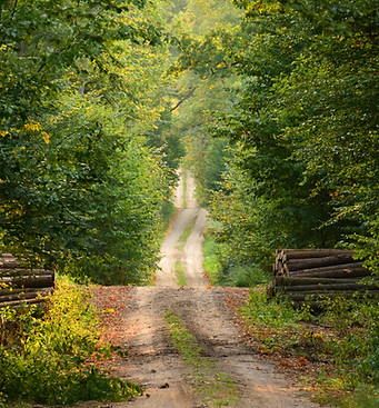 Open Space - path