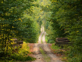 No man’s land in the cancer's kingdom
