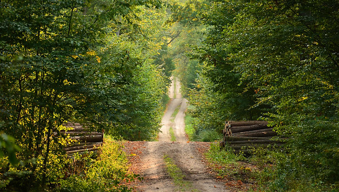 Hike with MMSSC Members at Rockefeller Preserves