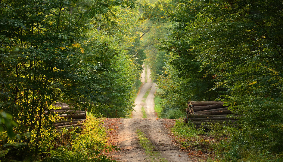 Nature always provides pathways to healing.