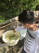 IMG_3204.jpeg