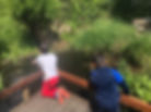IMG_3201.jpeg