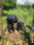 IMG_3217.jpeg