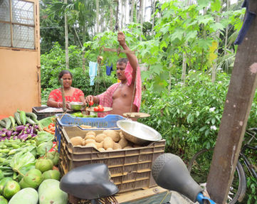 CSS_IMAGES_FOR_WEBSITE (3).jpg