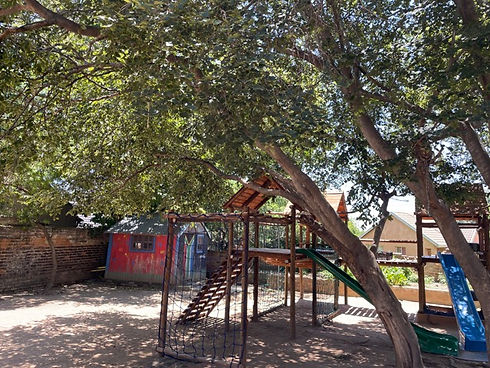 IMG_2837 Medium.jpeg