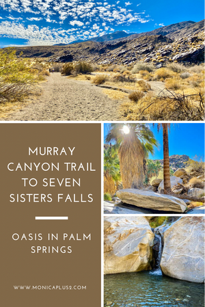 Murray Canyon Trail To Seven Sisters Falls. Oasis In Palm Springs