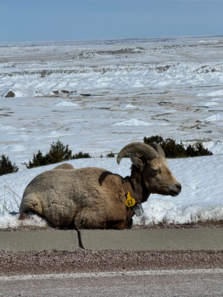 badlands national park