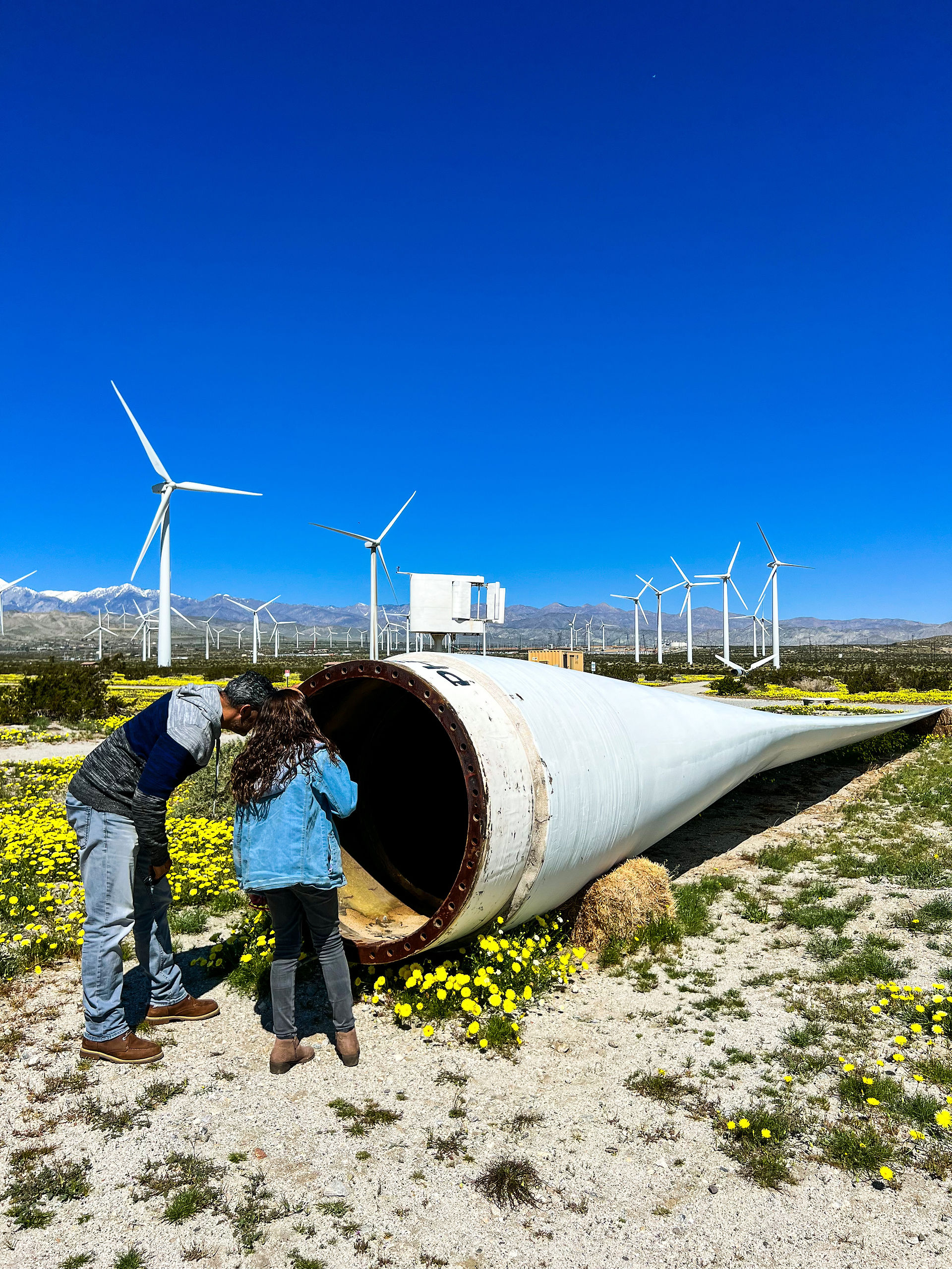 Palm Springs Windmills Tour