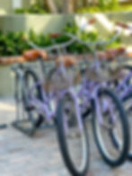 Beach Bikes at Carlsbad Inn Beach Resort