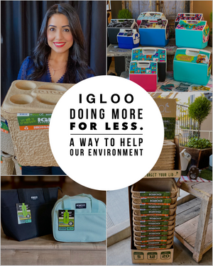 Igloo-Doing More For Less. A Way To Help Our Environment