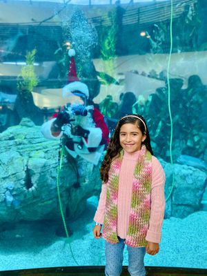 Aquarium Of The Pacific Holiday Celebrations