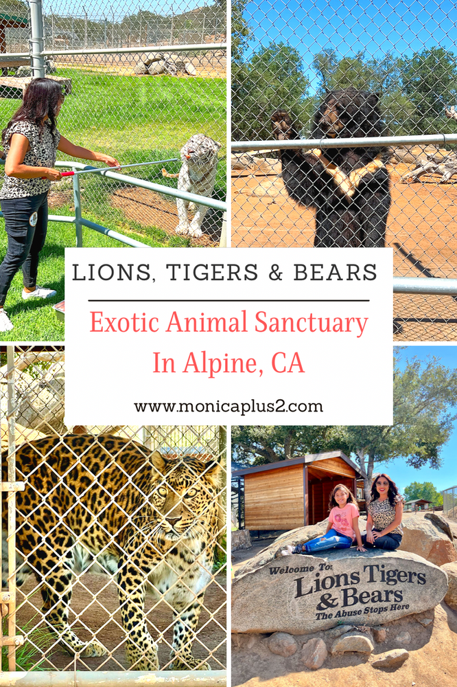Lions, Tigers & Bears. Exotic Animal Sanctuary In Alpine, CA.