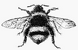 Screenshot 2022-11-02 at 17.34.07.png