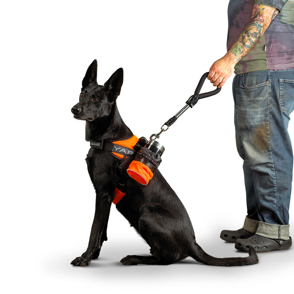 Thumbnail: Short Compression Leash Steel/Black