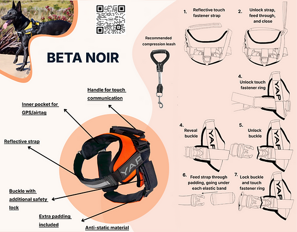 Beta Noir Tutorial Graphic