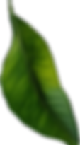 Eco-friendly hair products