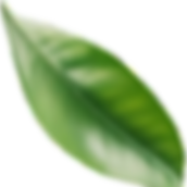 Natural hair care solutions