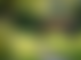 Overcoming Overwhelm: Mentoring for Faith-Rooted Leaders