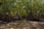 BV_MARISQUEIRAS_FOTOEMPAUTA_