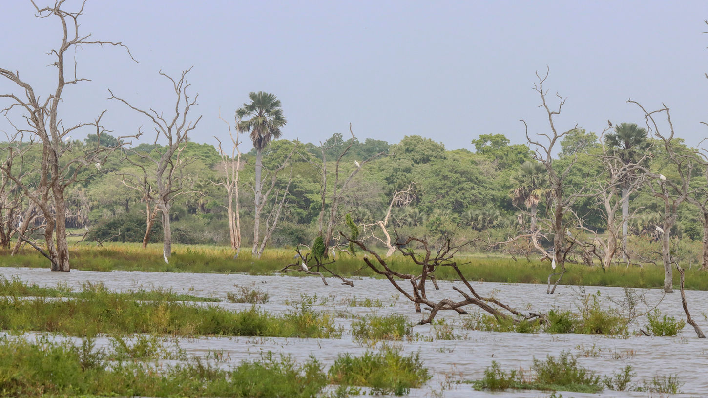 Lake Manze