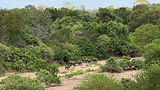 View towards Beho Beho river from Porini Camp .JPG