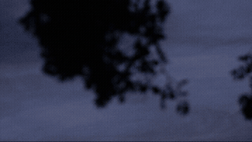 747 Landing Gif.gif