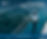 Tier III Compliance Starts with AUS40
