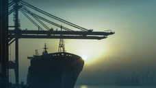 Global Shipping Decarbonisation Trends in 2025