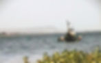 Objet Flottant Identifié