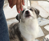 IMG-20181013-WA0020.jpg