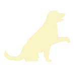 ICONS9-09.png