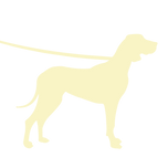 ICONS8-08.png