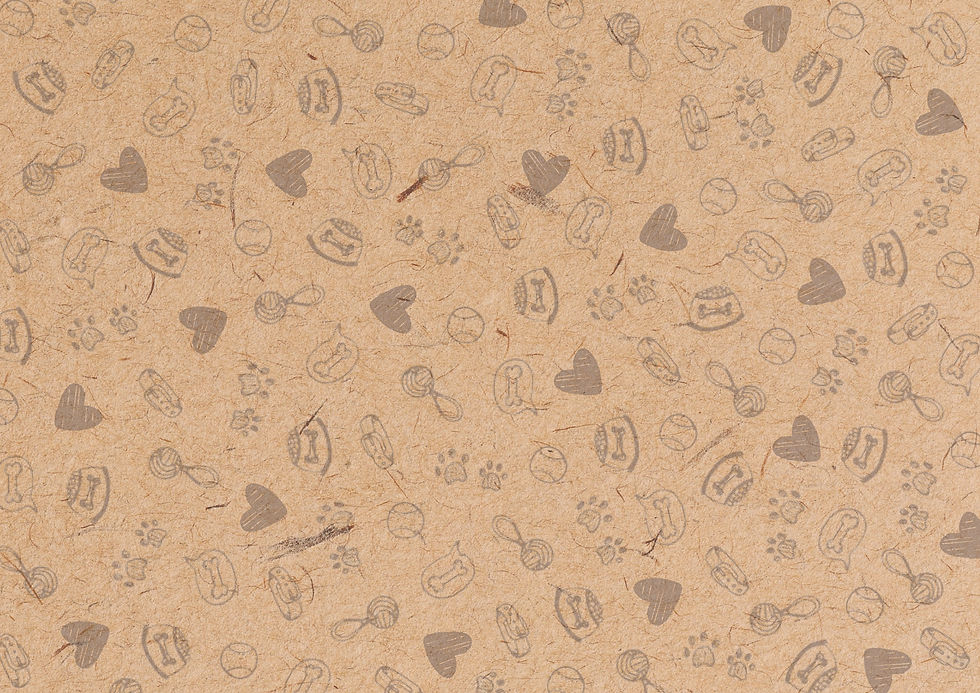 Fundo-01_edited.jpg