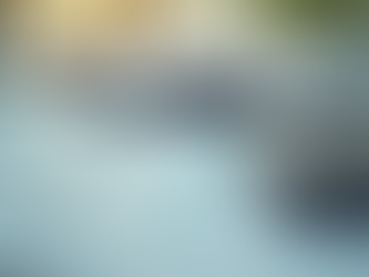 Bookkeeping Basics Every Chiropractor Should Know